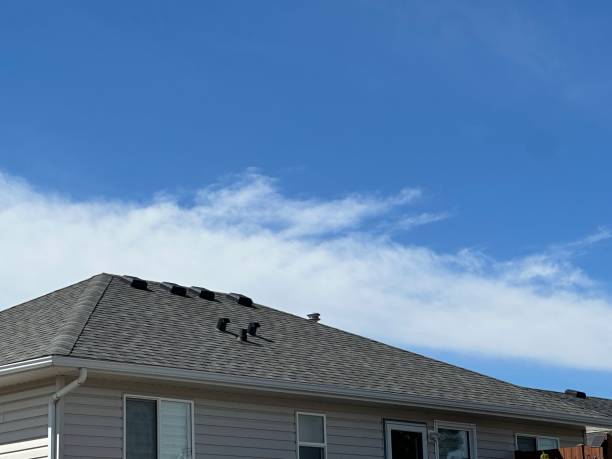 Best Green or Eco-Friendly Roofing Solutions  in Genoa City, WI